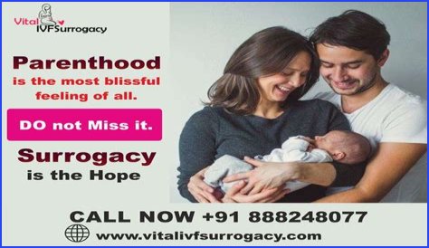 Discoveries And Insights For Blissful Parenthood